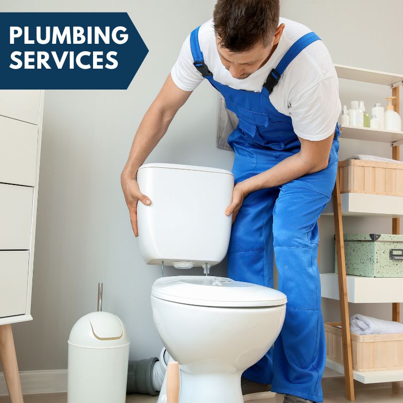 Plumbing Company in Livonia, MI